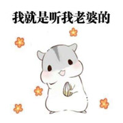 小小田鼠🐹