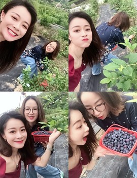 丹丹姐🎶🎶主播照片
