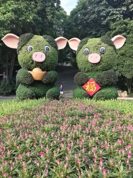 🐷👣主播照片
