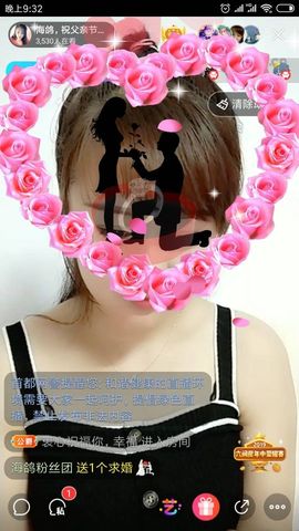 海鸽休息几天主播照片