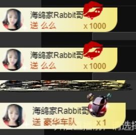 海鸽休息几天主播照片
