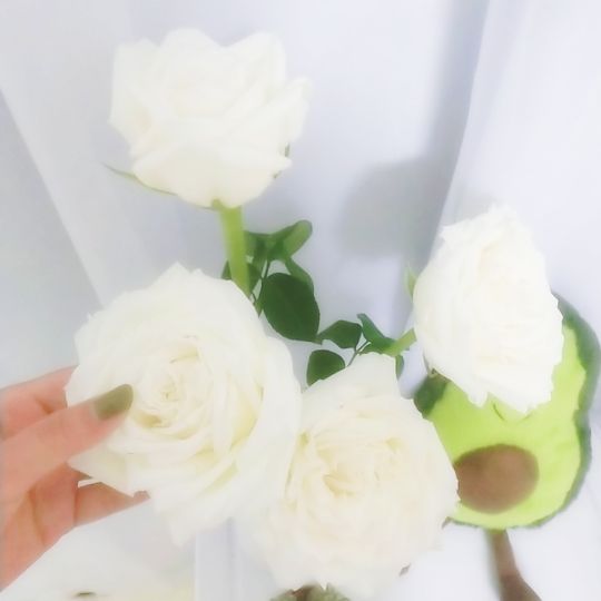 哈哈215786的主播照片