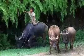 の﹑成🌙疯﹏主播照片