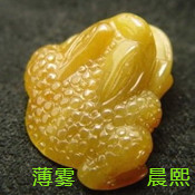 人间某处主播照片