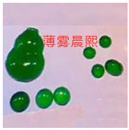 人间某处主播照片