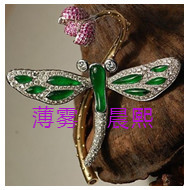 人间某处主播照片