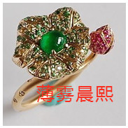 人间某处主播照片