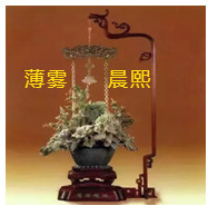 人间某处主播照片