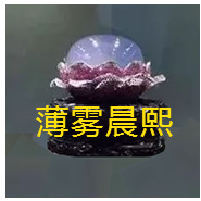 人间某处主播照片