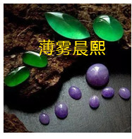 人间某处主播照片