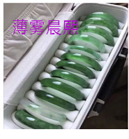 人间某处主播照片