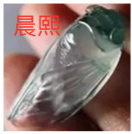 人间某处主播照片