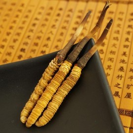 实力决定话语权主播照片