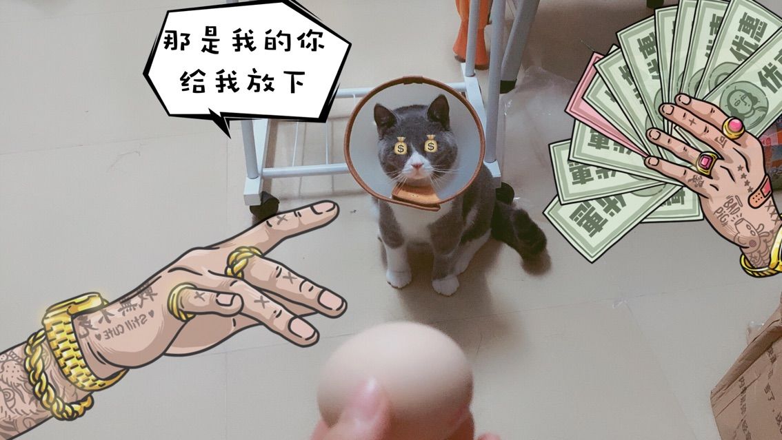 绿绿绿绿绿公主👸丶的主播照片