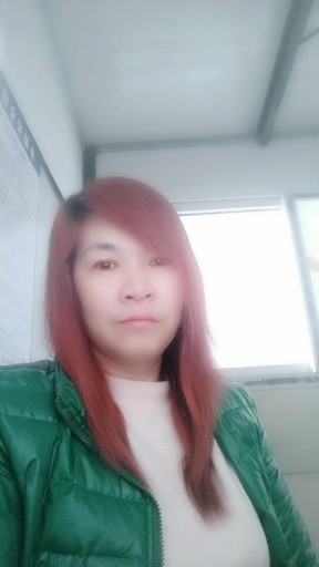 红尘情歌