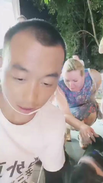 猪也拉了