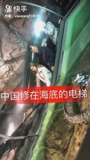 等着归来吧