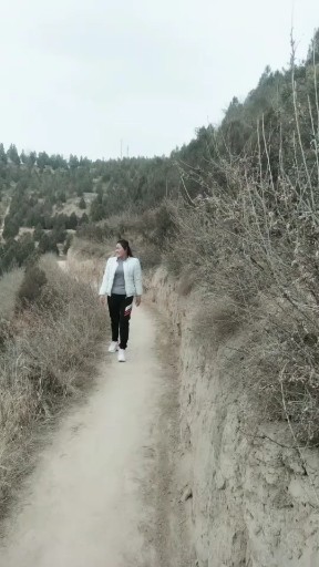 美丽的温柔