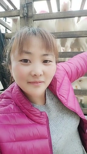 女人如花