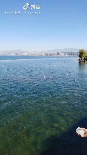 大理是属于情侣的地方