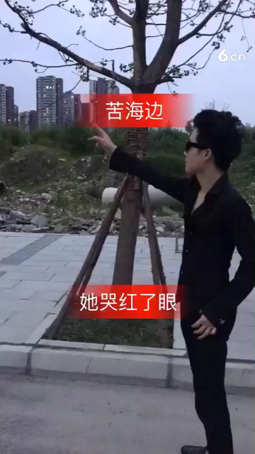 她哭了眼