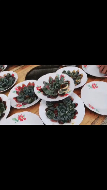 皮蛋拼起来