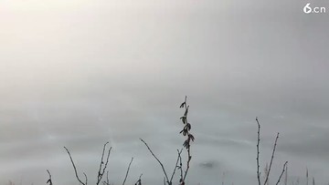 早上好
