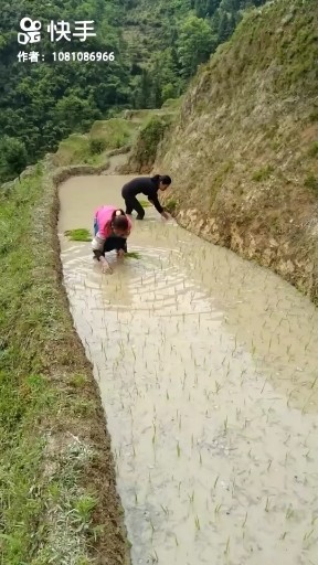 总有一天我会变得特别优秀