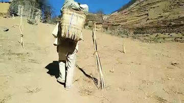苦啊，没办法