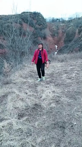 九儿