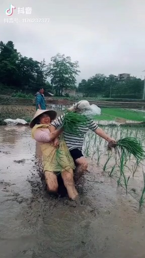 干就完了