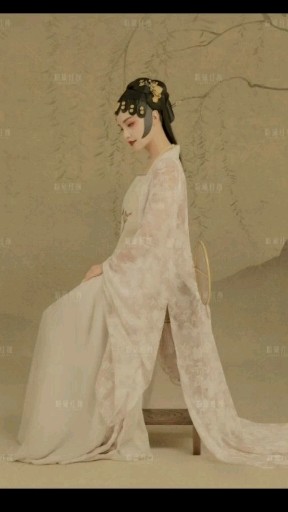 阜阳个人写真-颍泉区工笔画写真
