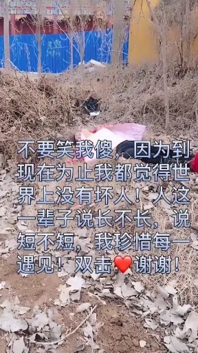 迷失的苦海