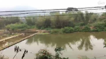南方
