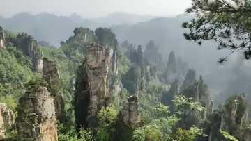 湖南天子山，