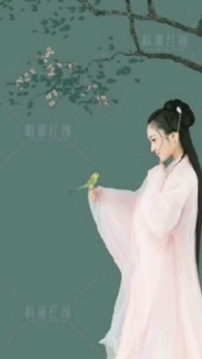 太和旗袍风写真-临泉旗袍风写真
