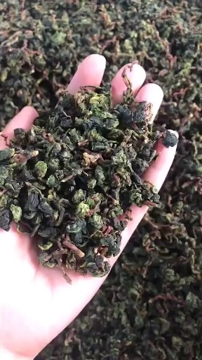 安溪原產(chǎn)地鐵觀音新茶大量上市