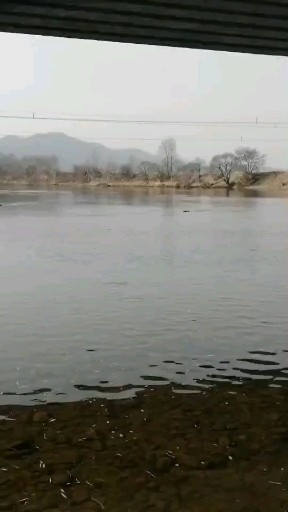 同学真会玩