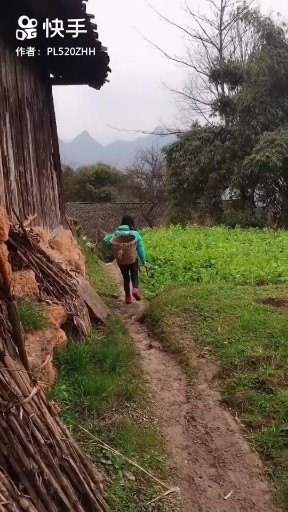 回梦游仙