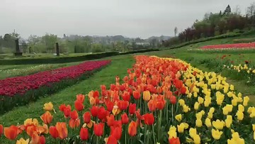 给力