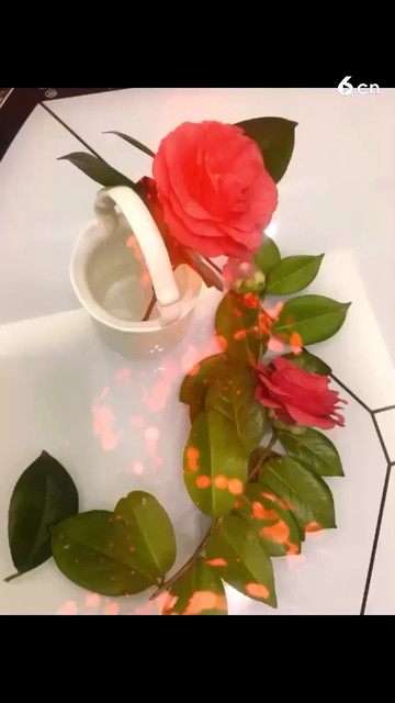 紫薇㊗️大家 周末愉快