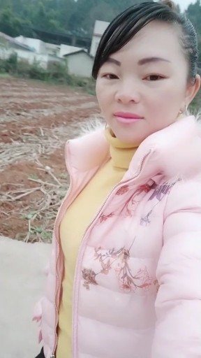 一曲红尘