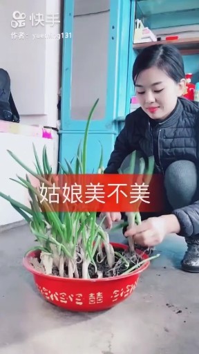 美美的你