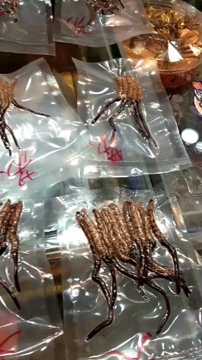 需要的朋友们私信我把