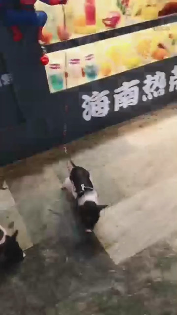出去