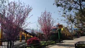 山梨