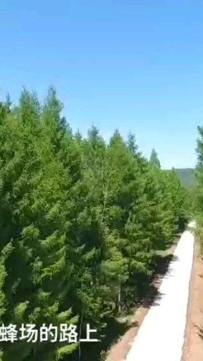 呵