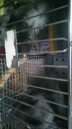 旅游途中  休息一下   开吃