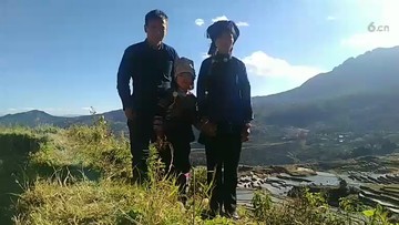 红河梯田