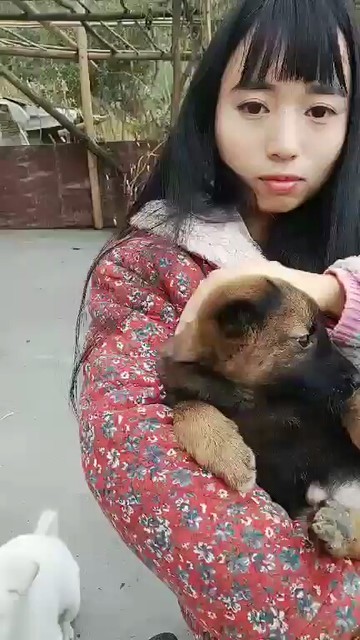 🐶